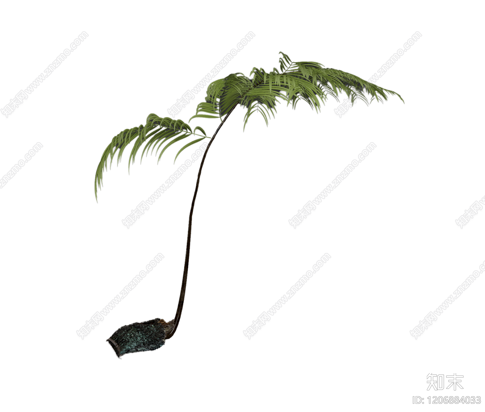带盆棕榈树模型3D模型下载【ID:1206884033】