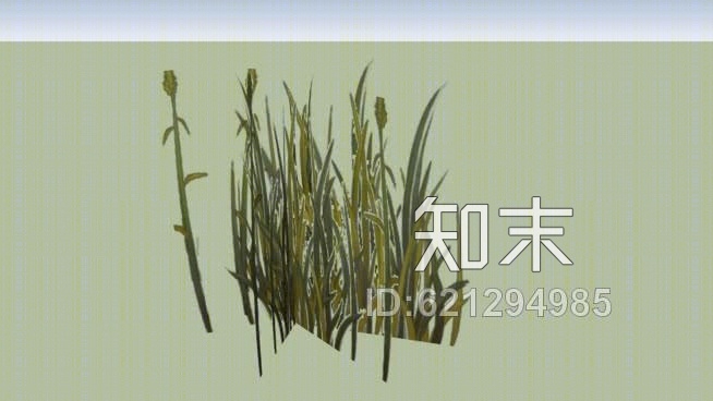 草SU模型下载【ID:621294985】