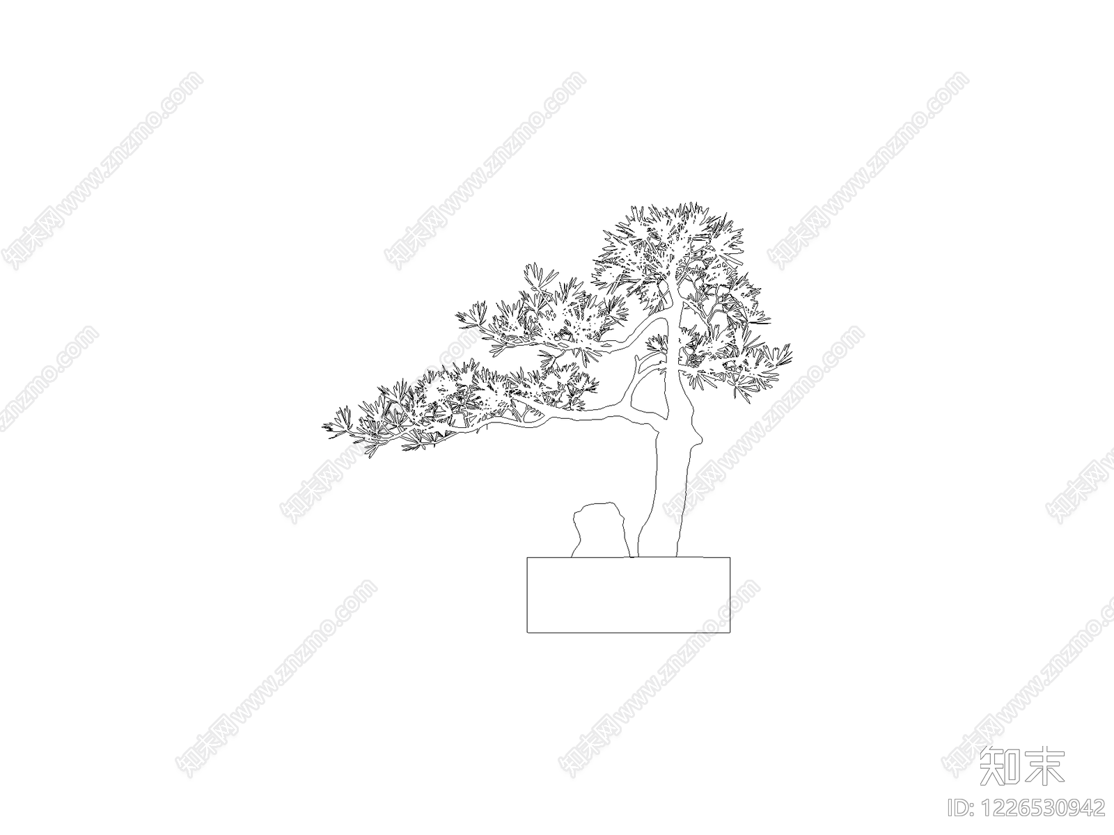 新中式乔木种植CAD图纸