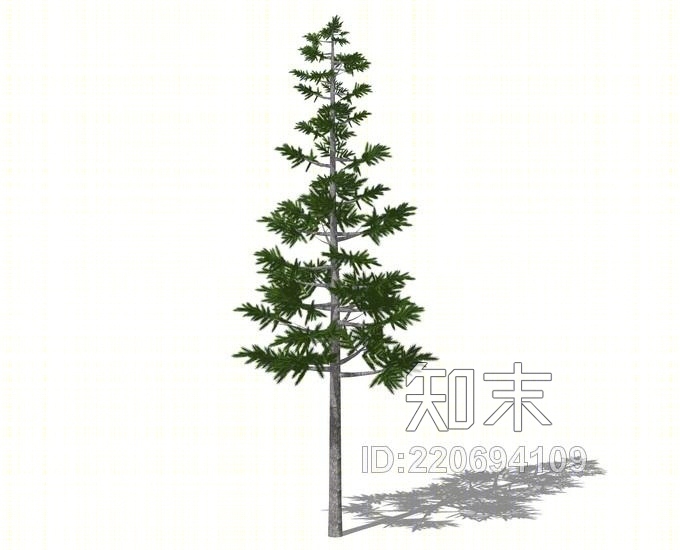 3D植物树SU模型下载【ID:220694109】