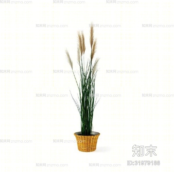 绿色盆栽3D模型下载【ID:31979188】