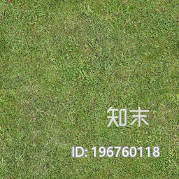 草坪下载【ID:196760118】