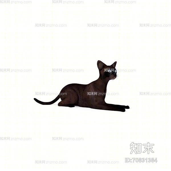 黑色猫3D模型下载【ID:70831384】