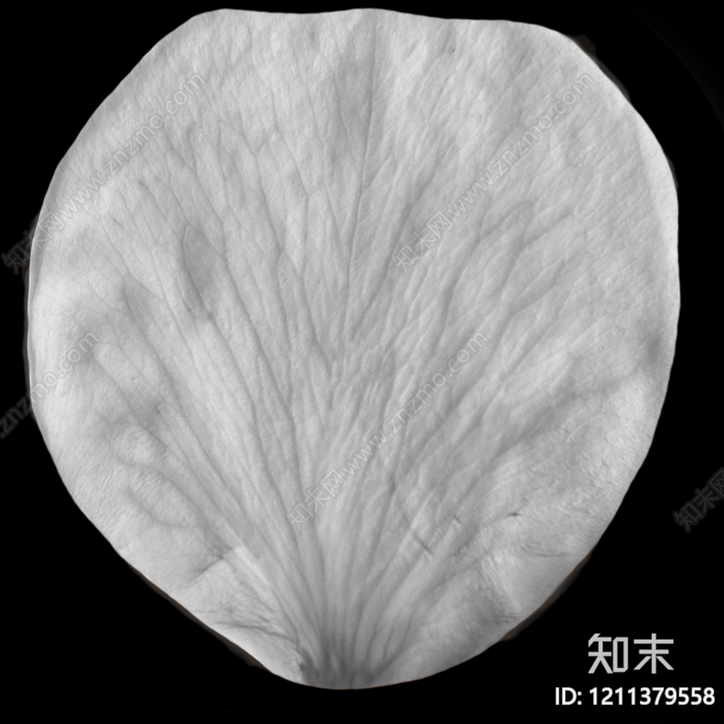 纱布贴图下载【ID:1211379558】