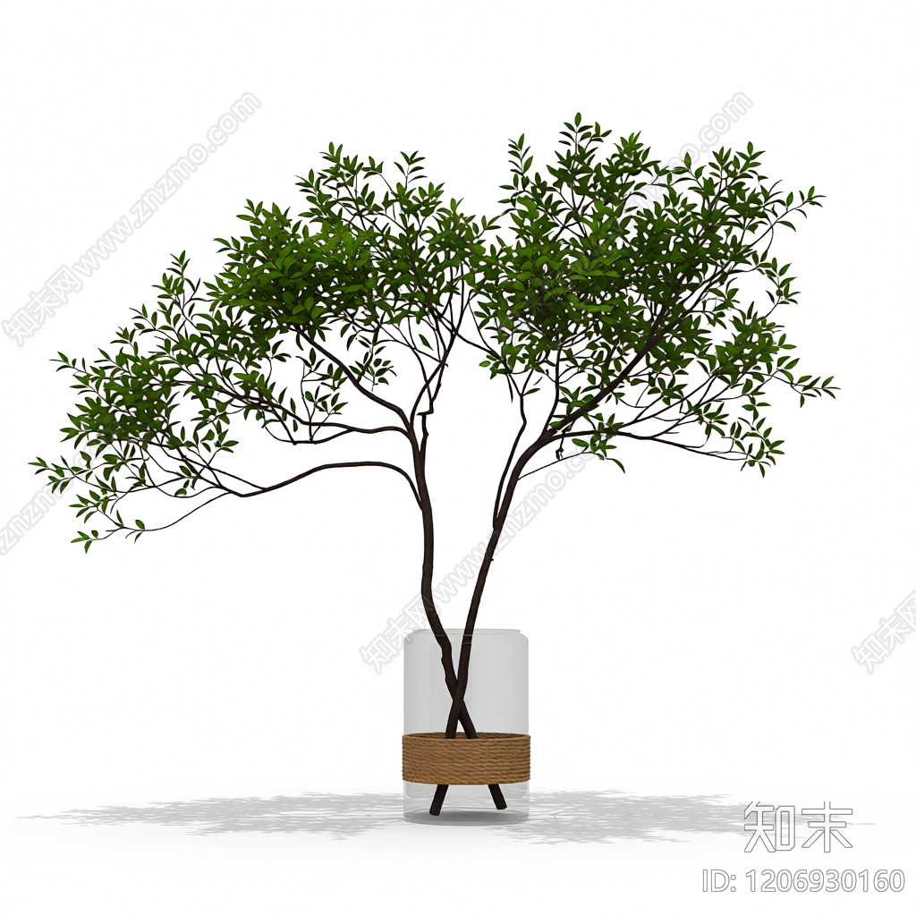 盆栽植物装饰3D模型下载【ID:1206930160】