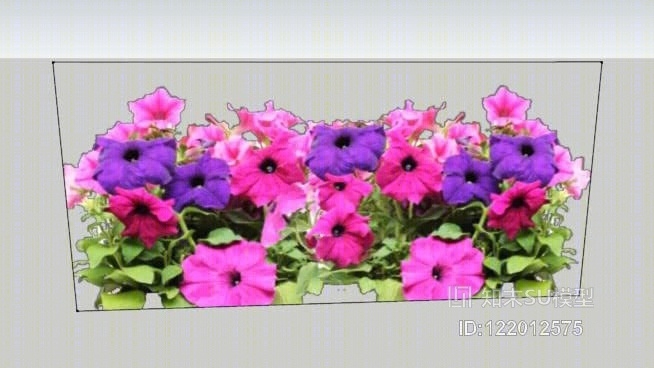 一年生花SU模型下载【ID:122012575】