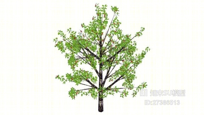 树SU模型下载【ID:117910642】