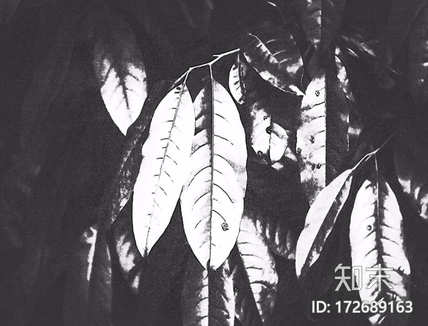 现代墙布，电视墙背景贴图下载【ID:172689163】