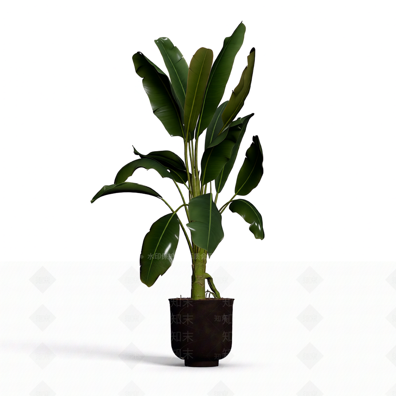 带盆完整盆栽3D模型下载【ID:1206197457】