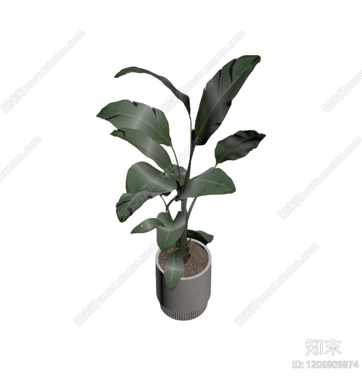盆栽植物装饰3D模型下载【ID:1206909874】