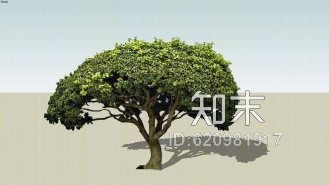 二维的植物SU模型下载【ID:620981917】