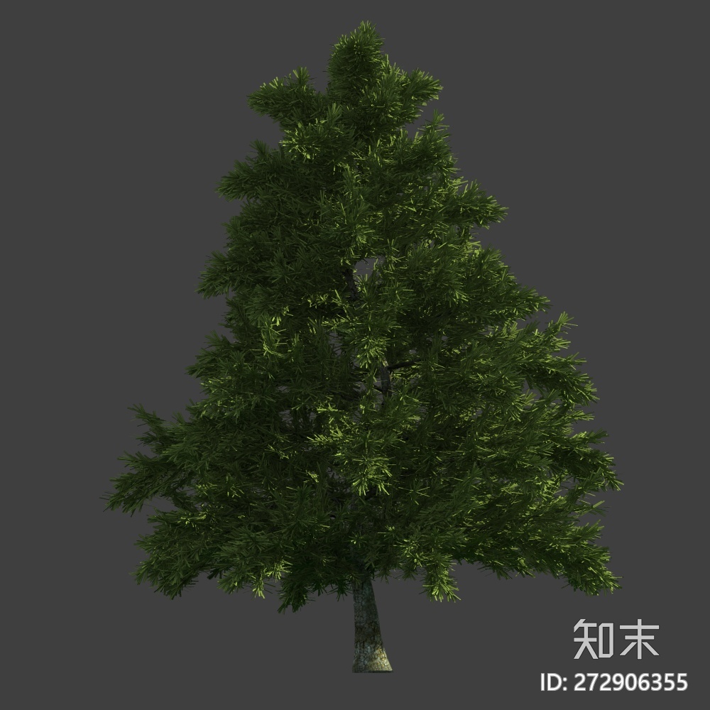 乔木设计素材免费下载_知末网