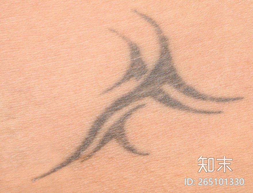 皮肤贴图下载【ID:265101330】