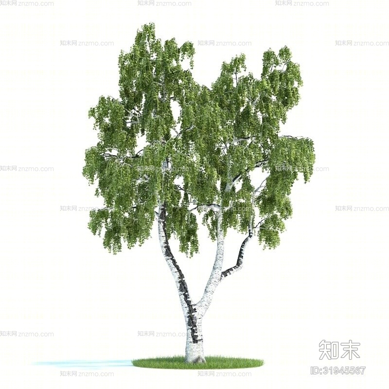 绿色树3D模型下载【ID:31945567】