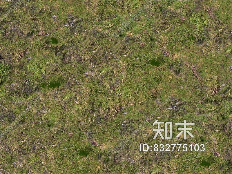 肌理贴图下载【ID:832775103】