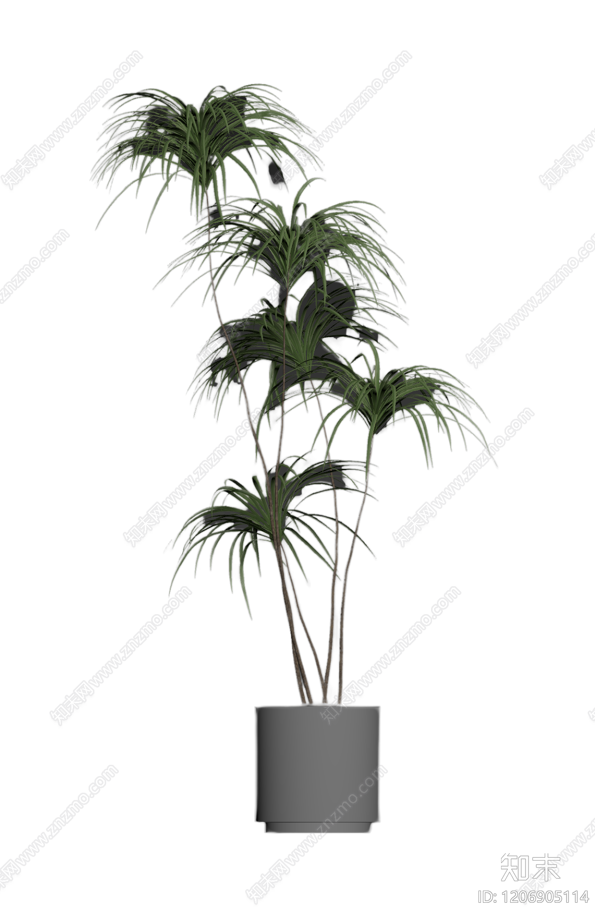 盆栽植物组合3D模型下载【ID:1206905114】