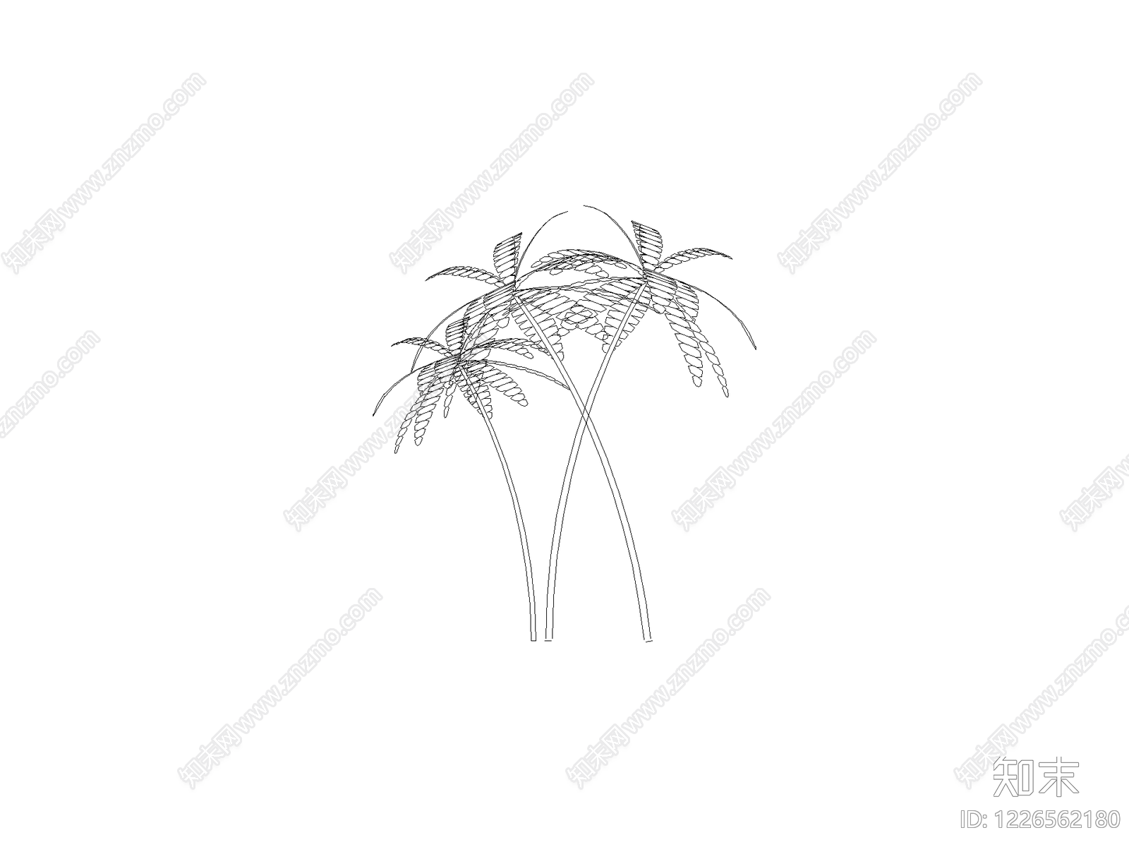 现代乔木种植CAD图纸