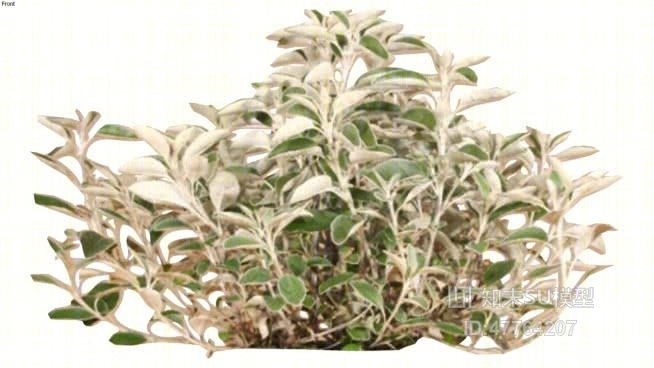 草SU模型下载【ID:47764207】
