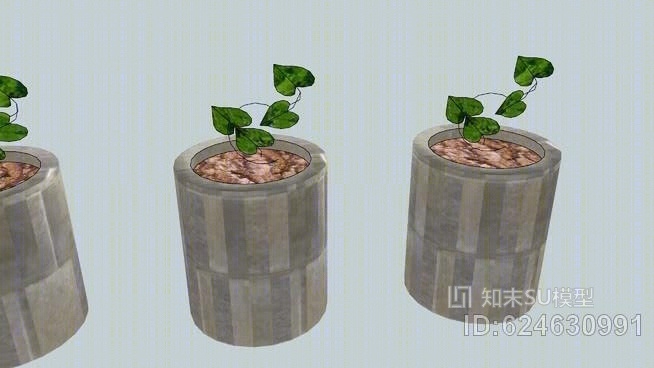 心形植物SU模型下载【ID:624630991】