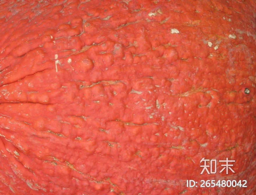 蔬菜贴图下载【ID:265480042】