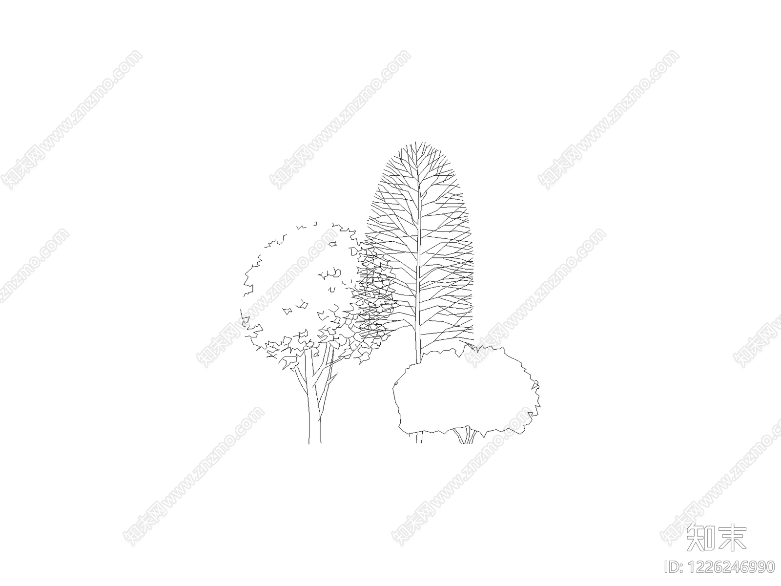 现代乔木种植CAD图纸