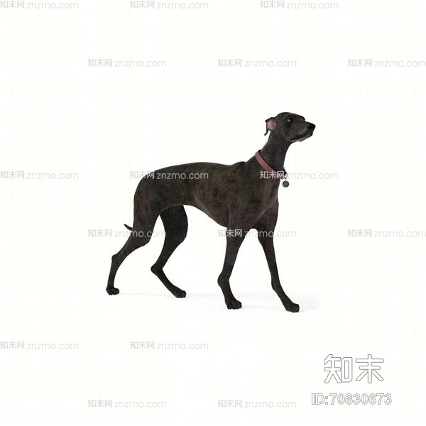 黑色狗3D模型下载【ID:70830673】