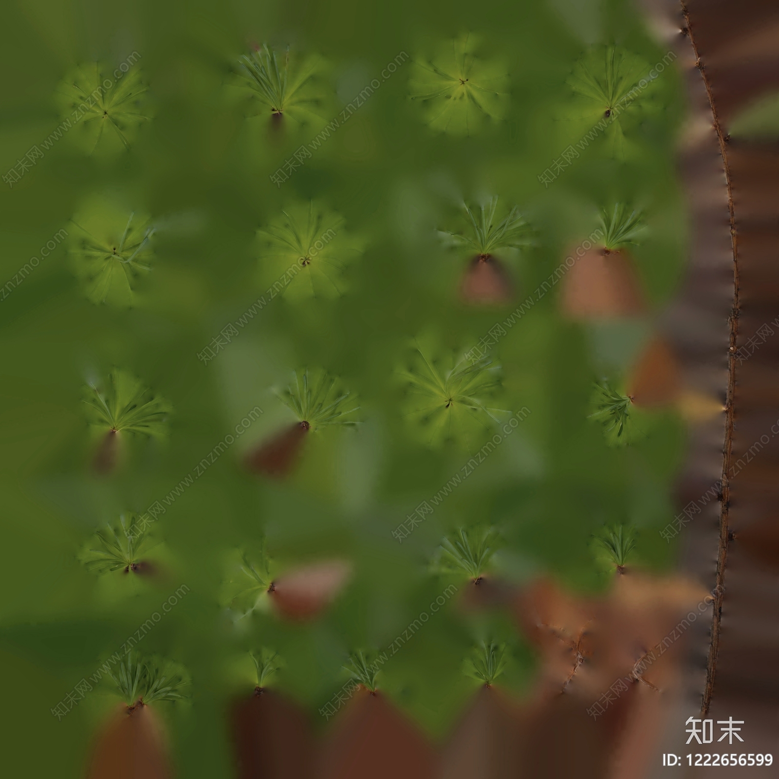苔藓纹理高清贴图材质