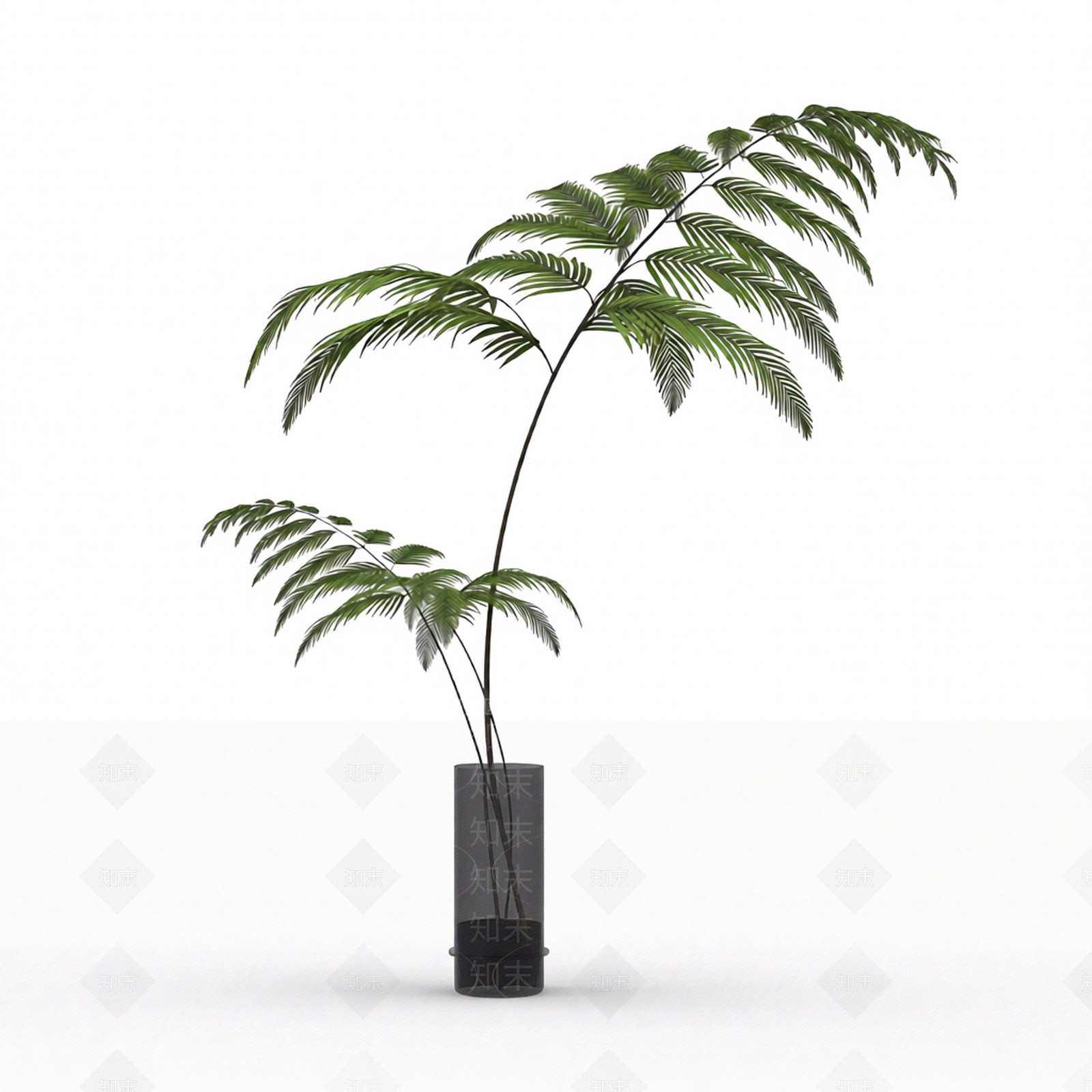 带盆绿色蕨类植物3D模型下载【ID:1206191876】