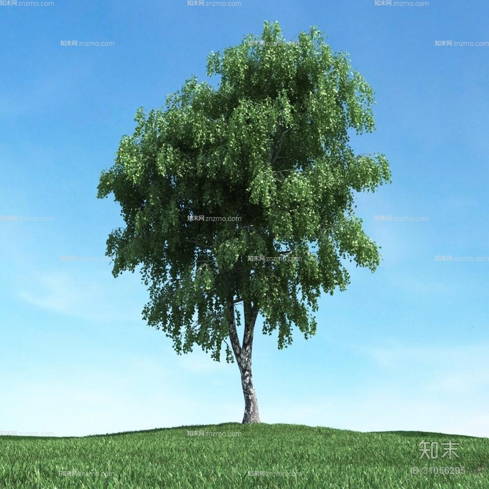 绿色景观树3D模型下载【ID:31056295】