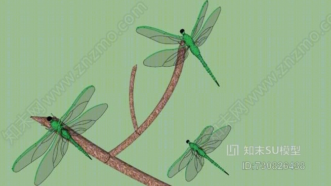蜻蜓SU模型下载【ID:730826438】