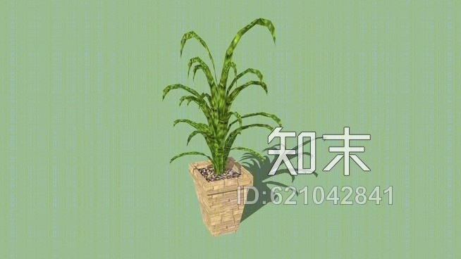 盆栽植物SU模型下载【ID:621042841】