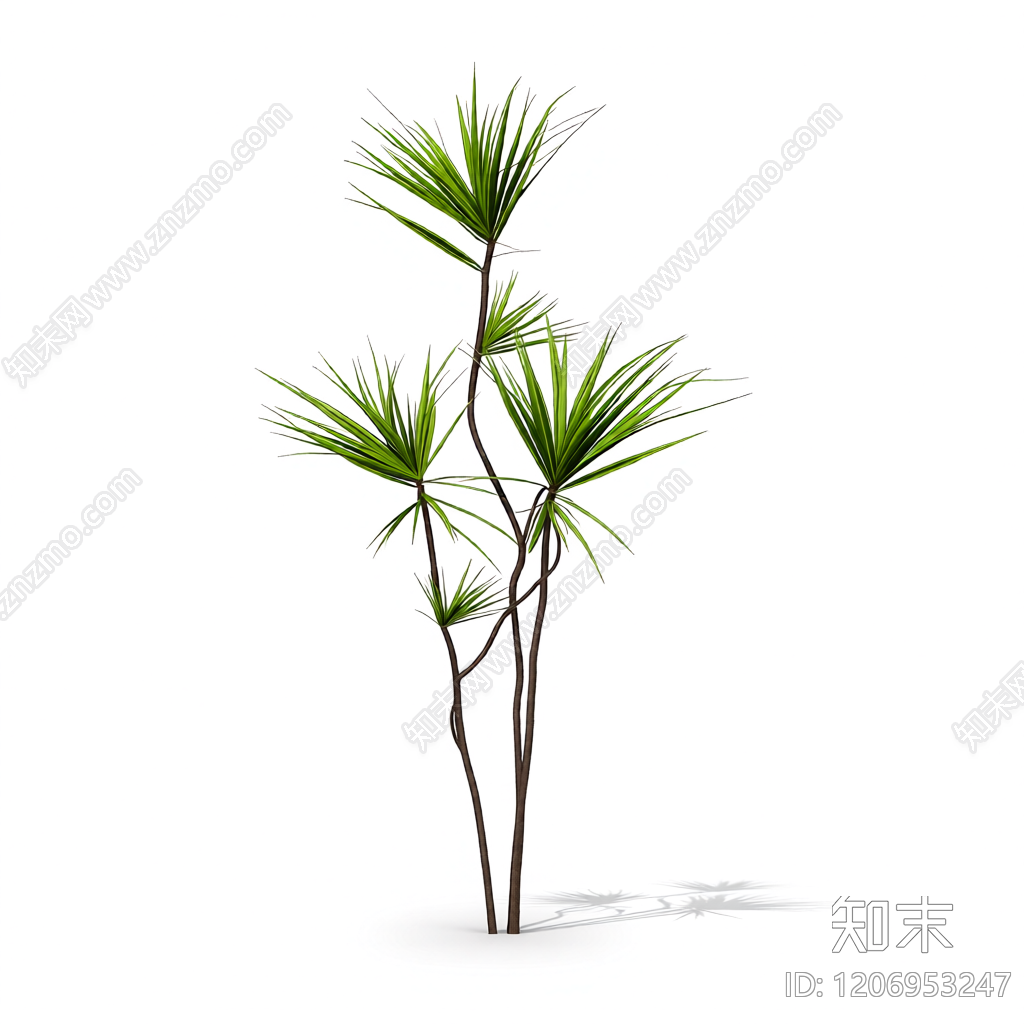 多枝绿植装饰3D模型下载【ID:1206953247】