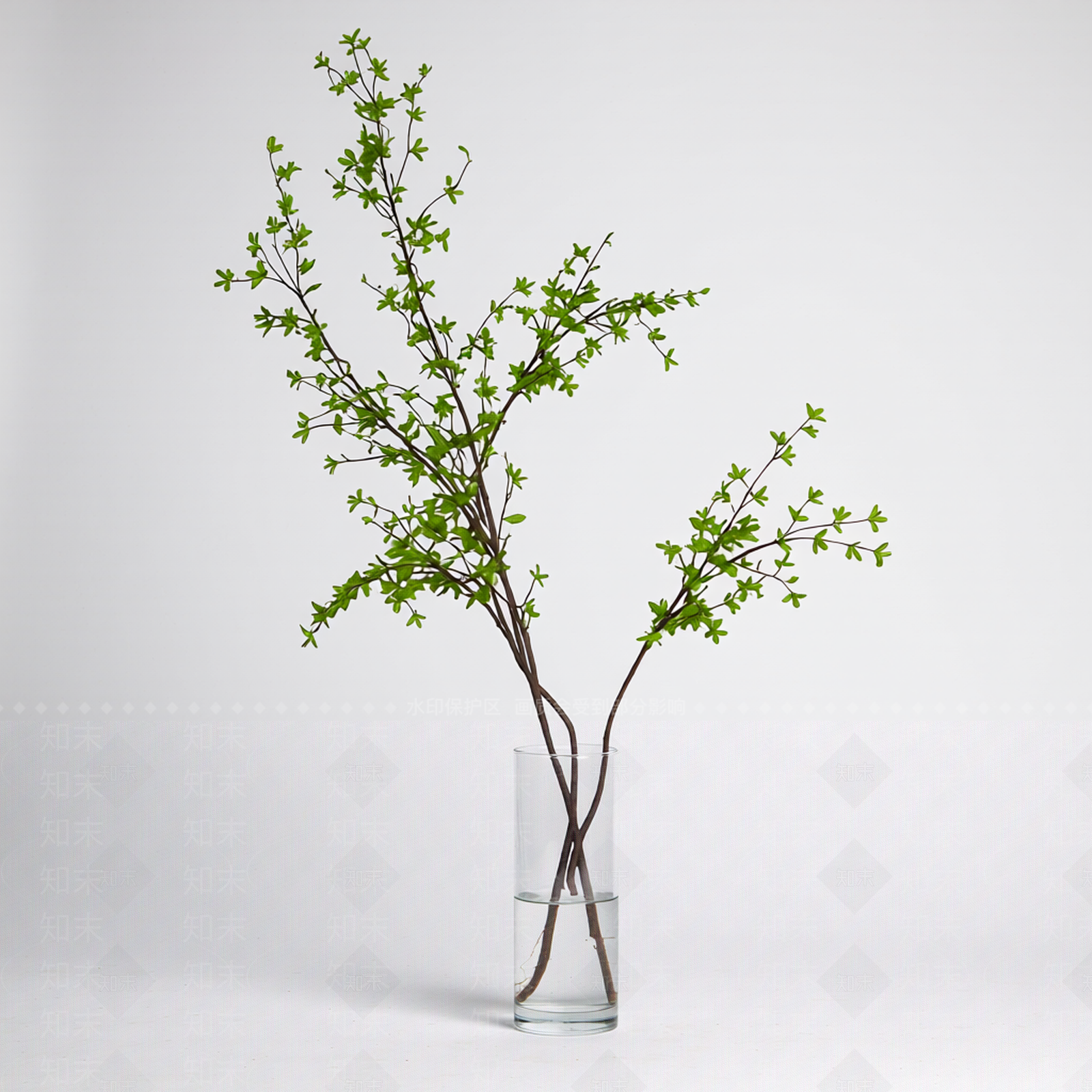 带盆枝叶装饰植物3D模型下载【ID:1206185495】