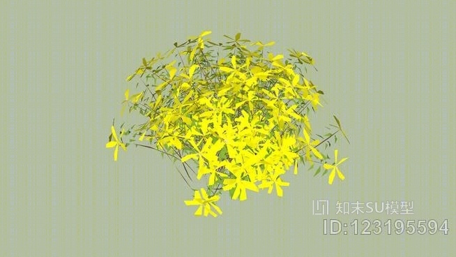 黄花SU模型下载【ID:123195594】