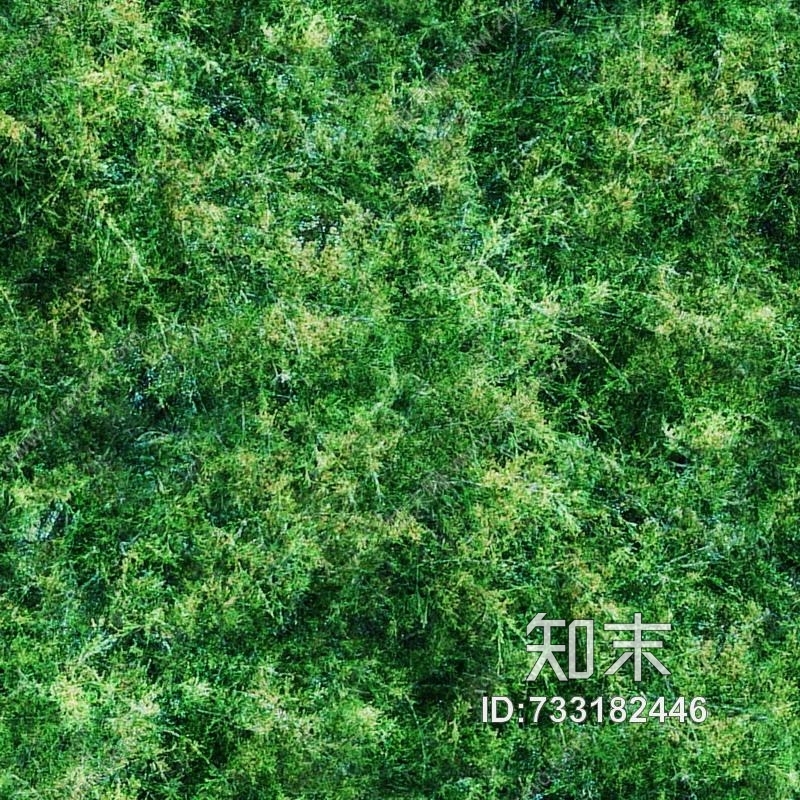 植物贴图下载【ID:733182446】