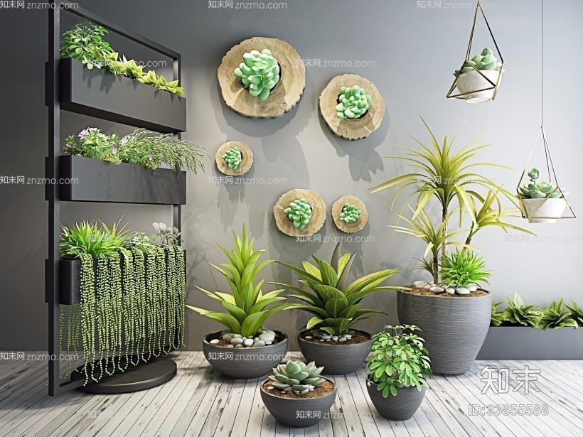 植物盆栽花架组合植物盆栽装饰架墙饰植物盆栽装饰架墙饰3d模型 Id 知末3d模型网