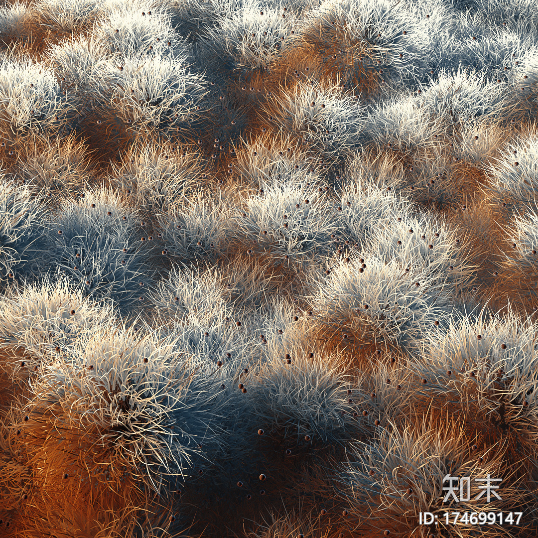 灵动的珊瑚C4D动画工程文件分享CG模型下载下载【ID:174699147】