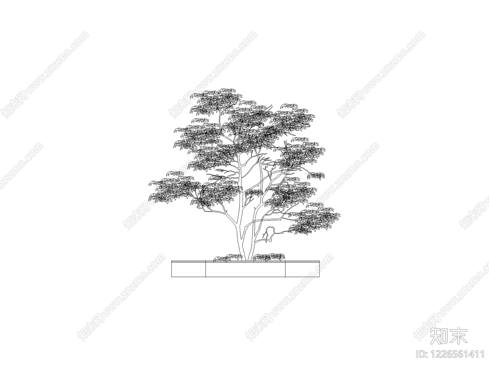 现代乔木种植CAD图纸