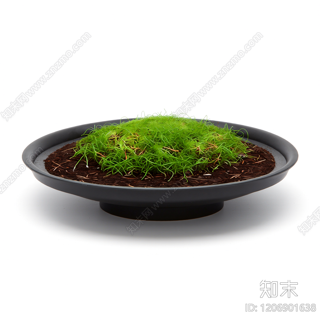 盆栽植物装饰品3D模型下载【ID:1206901638】