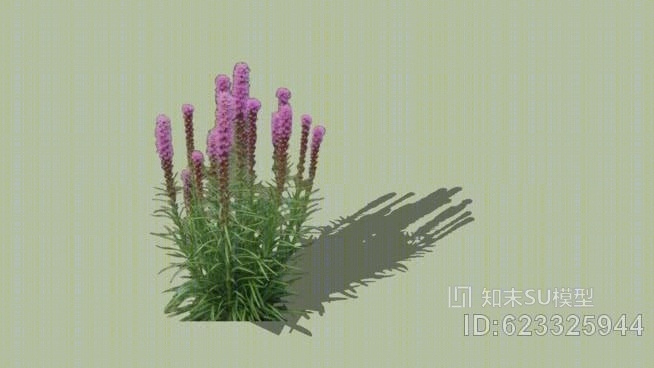 LaistRiSbSU模型下载【ID:623325944】