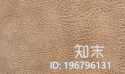 皮革下载【ID:196796131】