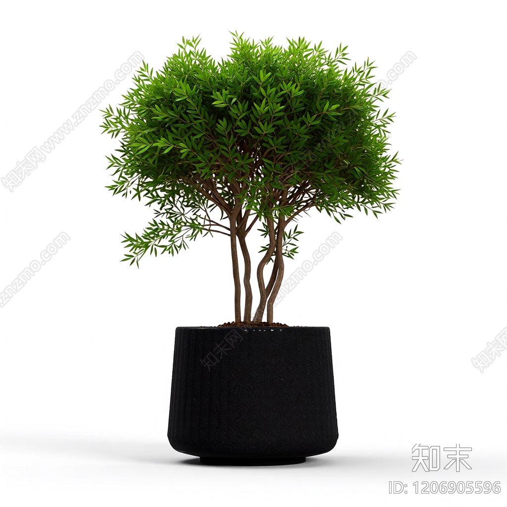盆栽植物组合3D模型下载【ID:1206905596】