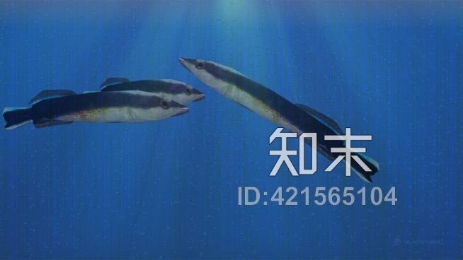 照片纹理清洁干酪SU模型下载【ID:421565104】