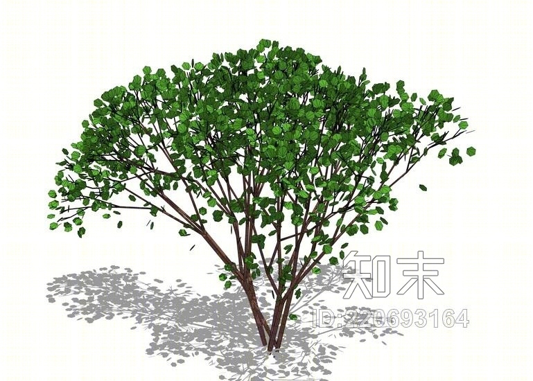 3D植物树SU模型下载【ID:220693164】