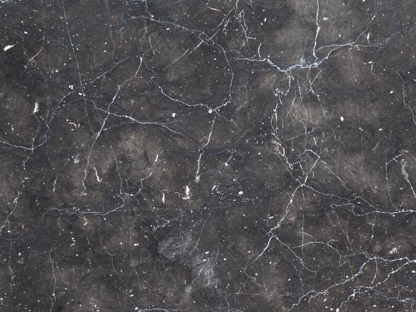 hygtrf5t贴图下载【ID:333348823】