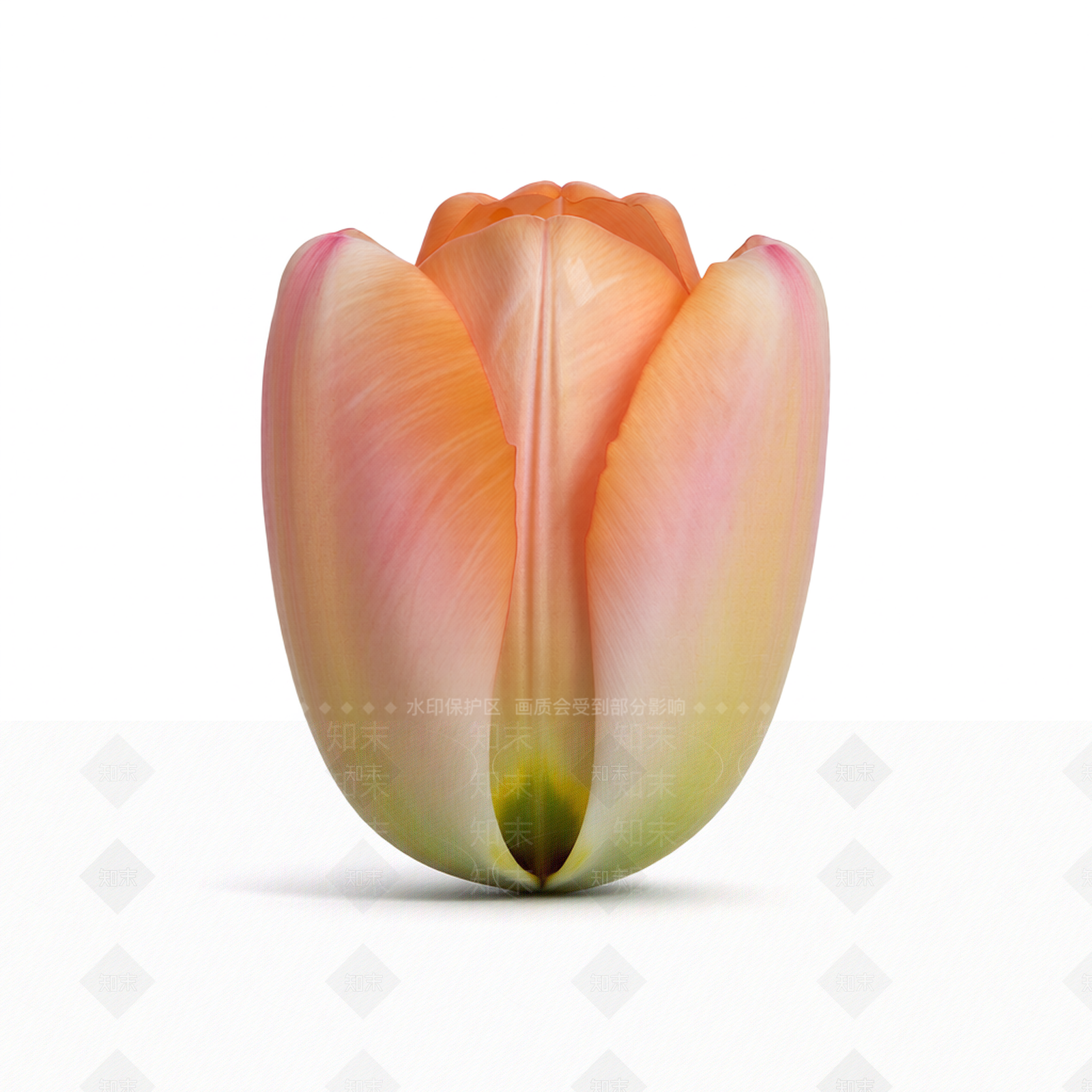 花朵造型装饰3D模型下载【ID:1206198150】