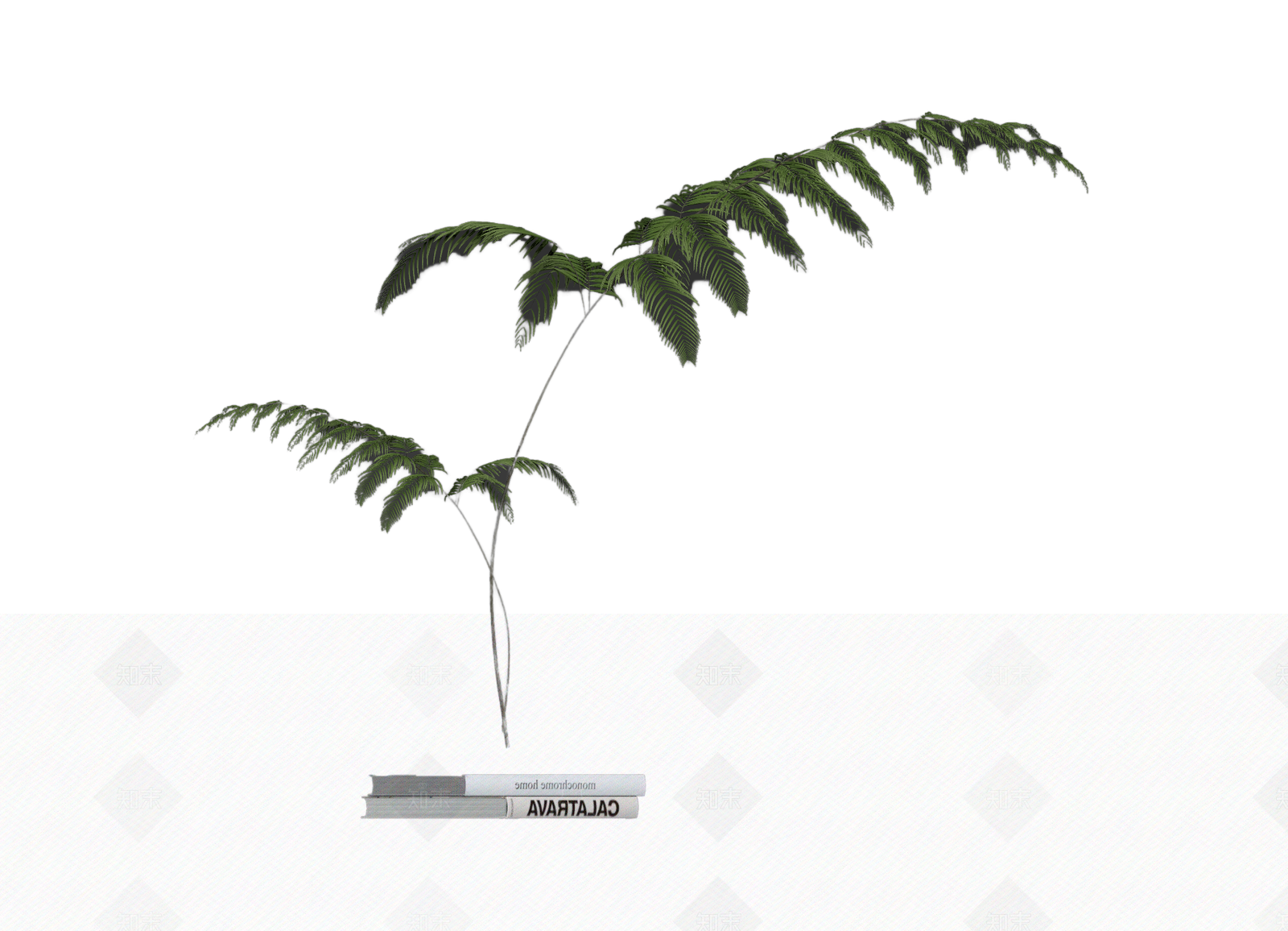 带盆绿植装饰3D模型下载【ID:1206194454】
