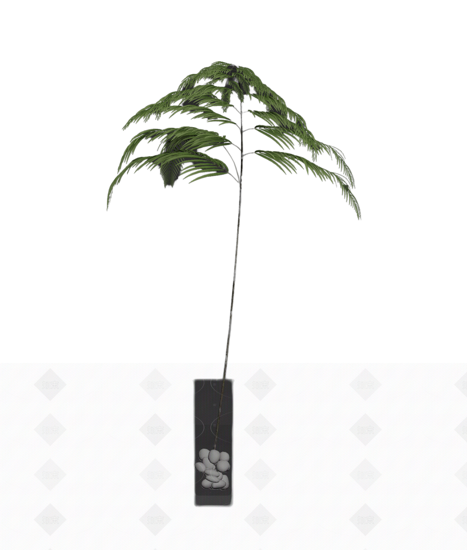 带盆绿植盆栽3D模型下载【ID:1206183074】