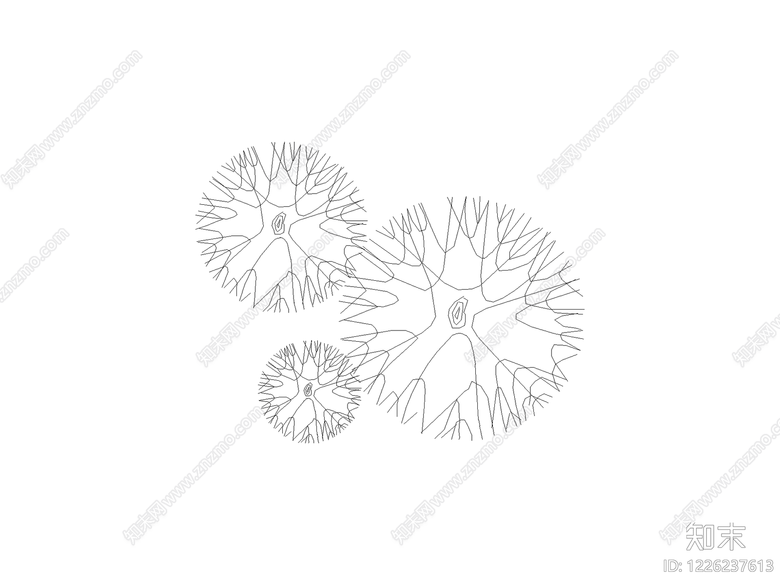 现代乔木种植CAD图纸