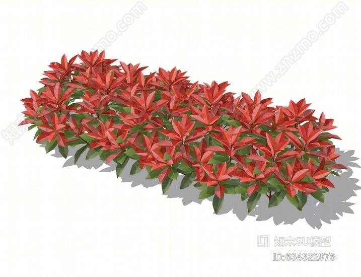 3d植物红叶石楠绿篱su模型su模型下载